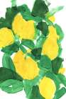 Lemons 2 Art Print