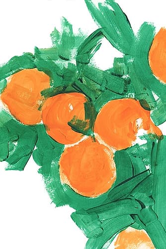 Oranges 1 Food Print