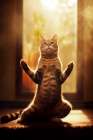 Cat yoga 10 Art Print