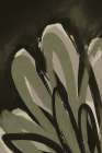 Green Leafs Art Print