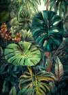 Flowers plant art monstera Art Print