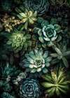 Flowers plant art succulents and cacti Art Print