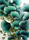 Flowers plant art ginko biloba Art Print
