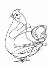 Line Chicken Art Print