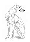 Line Dog Art Print