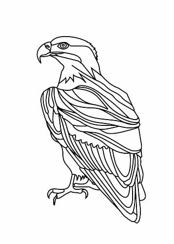 Line Eagle Art Print