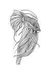 Line Fish Art Print