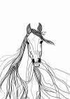 Line Horse Art Print