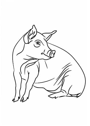 Line Pig Art Print