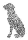 Lines art Dog Art Print