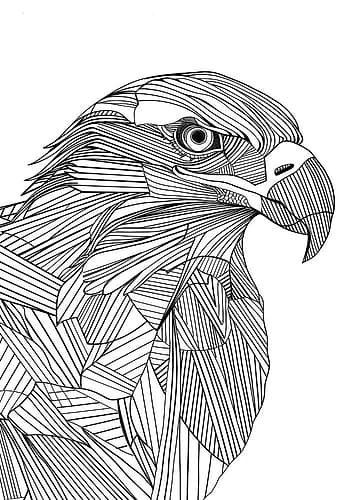 Lines art Eagle Art Print