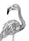 Lines art Flamingo Art Print