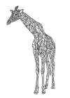 Lines art Giraffe Minimalist Print
