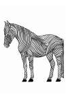 Lines art Horse Art Print