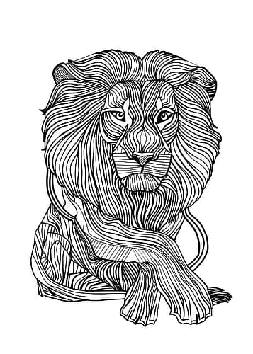 Lines art Lion Art Print