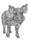 Lines art Pig Minimalist Print