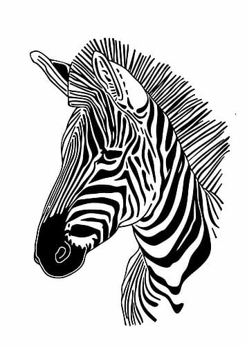 Lines art Zebra Art Print