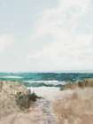 Beach Path Art Print