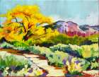 Ghost Ranch Trail Art Print