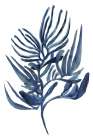 Blue Aquatic Plant Poster 1 Art Print