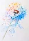 Abstract Dandelion Art Print