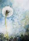 The Dandelion Art Print
