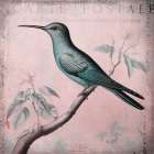 Hummingbird Romance Pastel Pink Ii Art Print