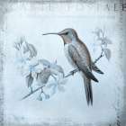 Hummingbird  Romance Aqua Blue Art Print