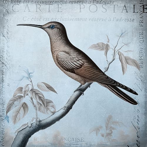 Hummingbird  Romance Aqua Blue Ii Art Print