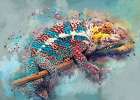 Chameleon animal art Art Print