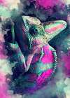 Chameleon1 animal art Art Print