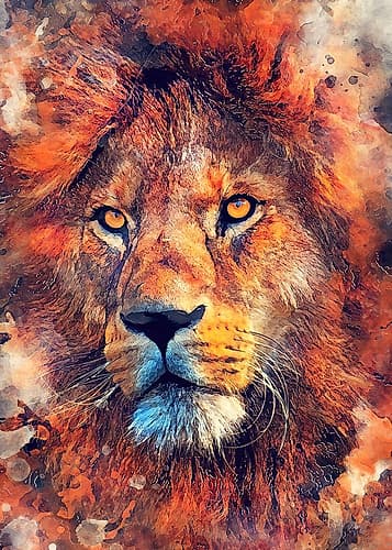 Lion animal art Animals Print