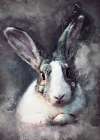 Rabbit animal art Art Print