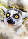 Lemur animal art Art Print