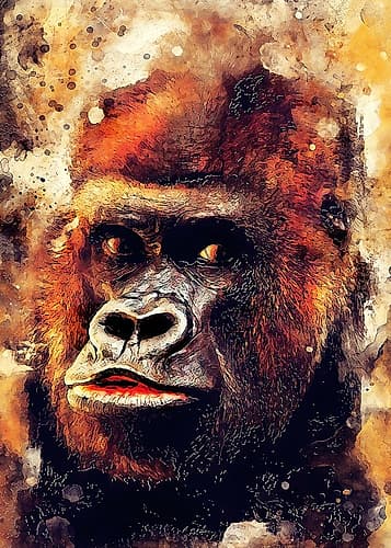 Gorilla  animal art Animals Print