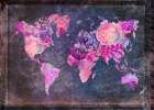 Map of the World (13) Art Print