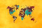 Map of the World (16) Art Print