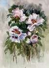 King of garden Art Print