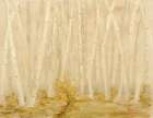 Golden Forest Art Print