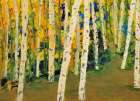 Birch Trees Art Print