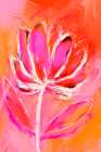 Fire Flower Art Print
