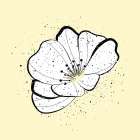 Yellow Bloom Art Print