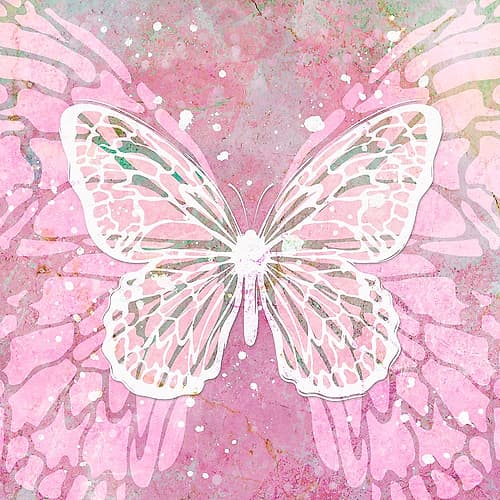 Pink Butterfly Art Print