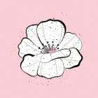 Pink Bloom Art Print