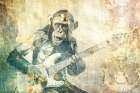 Music Art Illustration 07 Guitar monkey Art Print