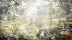 Jungle Forest Art Illustration 02 Art Print