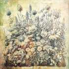 Floral Vintage Art Illustration 20 Art Print