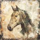 Horse Vintage Art Illustration 01 Art Print