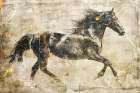 Horse Vintage Art Illustration 03 Art Print