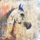 Horse Vintage Art Illustration 04 Art Print